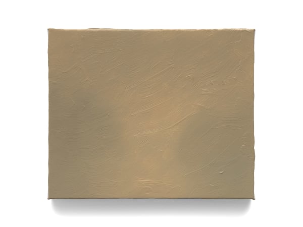 Tom Van Puyvelde, Evanescence XIII, 2024