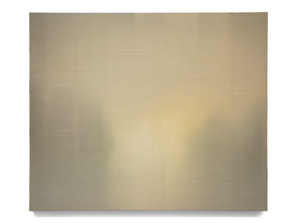 Tom Van Puyvelde, Evanescence XII, 2024