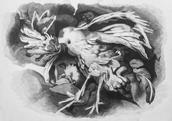 Tudi Deligne, Bestiaire - Coq, 2024