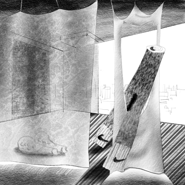 The Collector , 2016