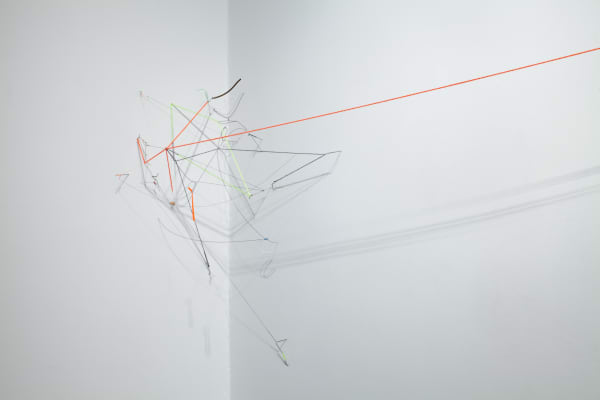 Max Van Pelt, Attraction Wing, 2015
