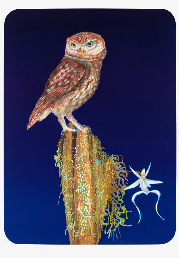 Michael Krueger Owl & The Orchid, 2020 acrylic on linen 26 x 19 inches