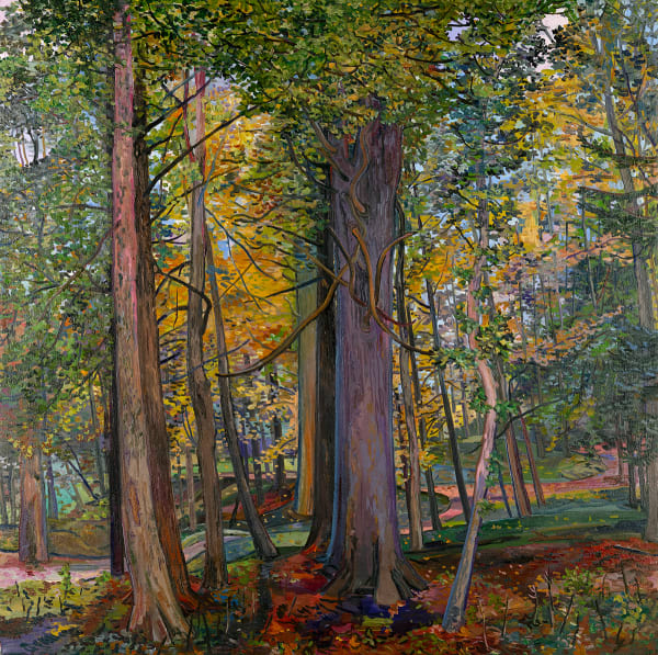 Nancy Friese, Among the Forest Trees, The Mount, Edith Wharton’s Home, Lenox, Massachusetts, 2025