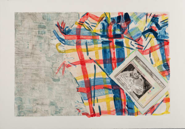 Stella Ebner Plaid Throw with I-Pad (Celebrities and Their Exotic Pets), 2018 watercolor monoprint 30 x 40 inches