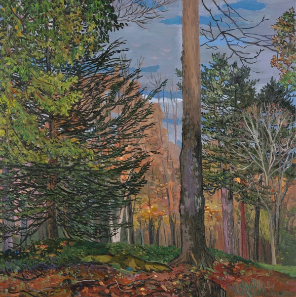Nancy Friese, Fall Hillside, The Mount, Edith Wharton’s Home, Lenox, Massachusetts, 2025