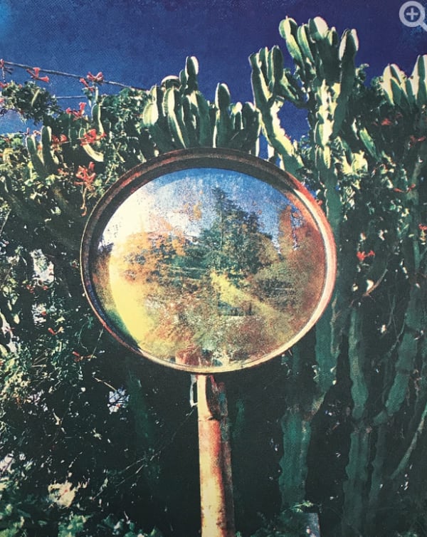 Serena Perrone, Ortensia Elettrica series: Rivolto, 2019
