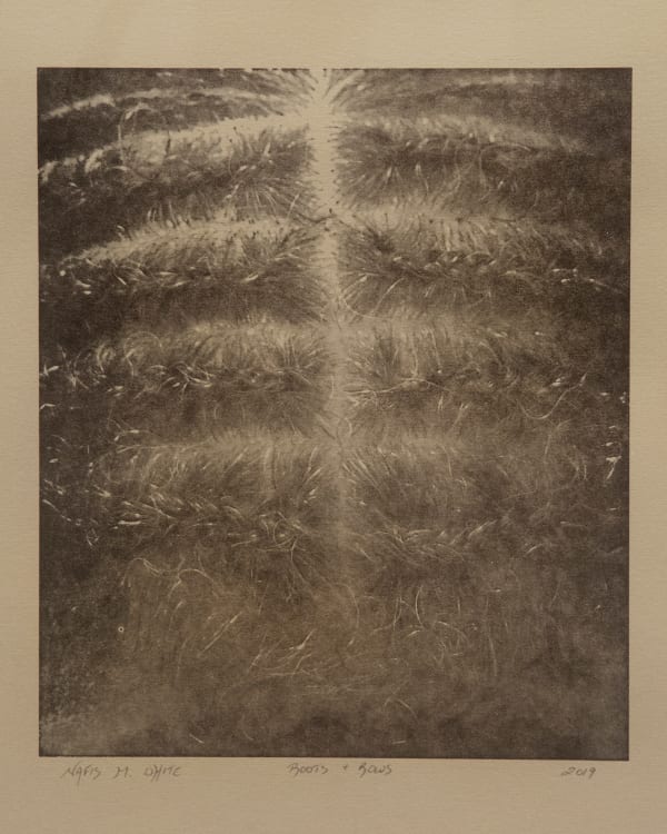 Nafis M. White Roots and Rows (II), 2020 photogravure and offset print 20 x 15 inches edition of 1