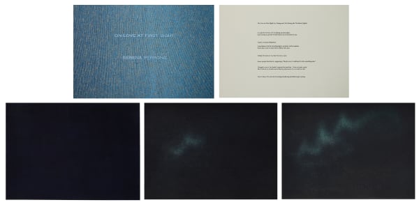 Serena Perrone, On Love at First Sight (or, Seeing and Not Seeing the Northern Lights), 2013