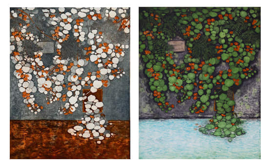 Serena Perrone At the Watering Trough (Nasturtium), 2023 intaglio color proof and final state 30 x 22 inches