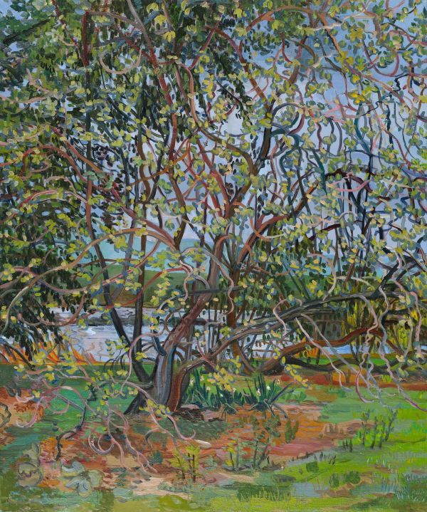 Nancy Friese, Spring Leaves, Blithewood Garden, Annandale-on-Hudson, New York, 2025