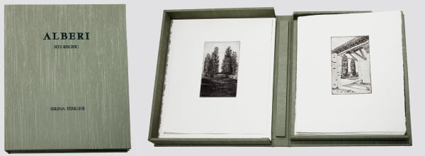 Serena Perrone, Alberi: Site Specific Portfolio, 2014-15