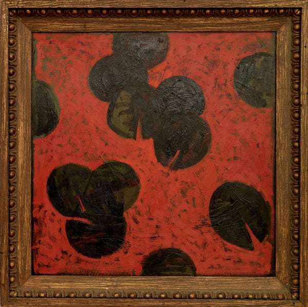 Timur D'Vatz, Black waterlilies