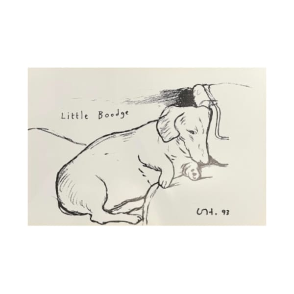 David Hockney, Little Boodge, 1993