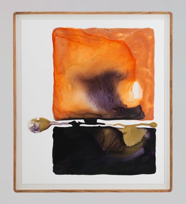 Mariëtte Kotzé, Glimpses of Genesis, 2024