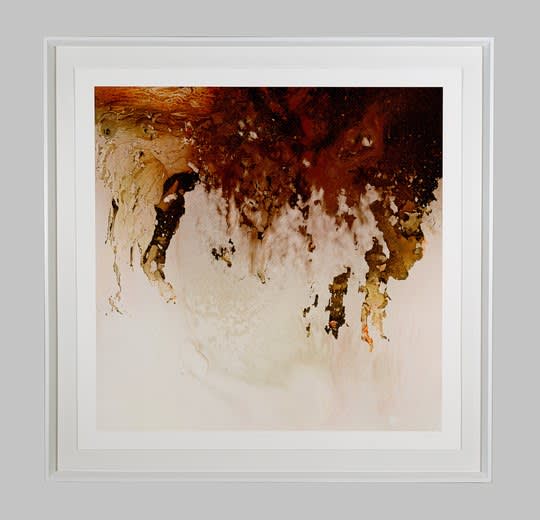 Mariëtte Kotzé, Smoke and pheromones (AR), 2022