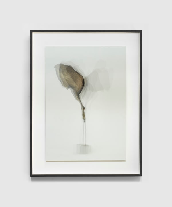 Tré Mkhabela, Light Banana Boi, 2021