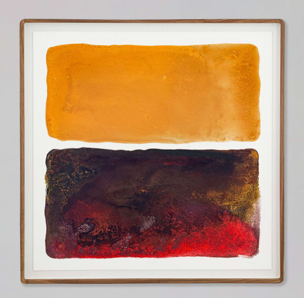 Mariëtte Kotzé, Golden Harvest, 2024