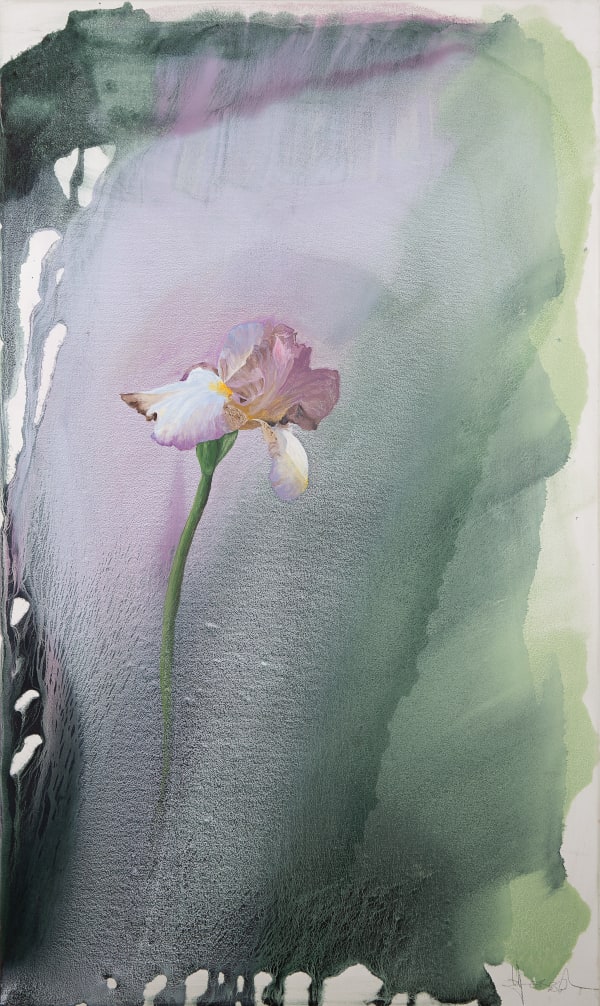 Helen Joseph, Iris 1, 2025