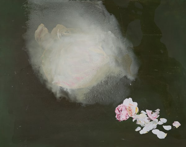 Helen Joseph, Somnolence, 2024