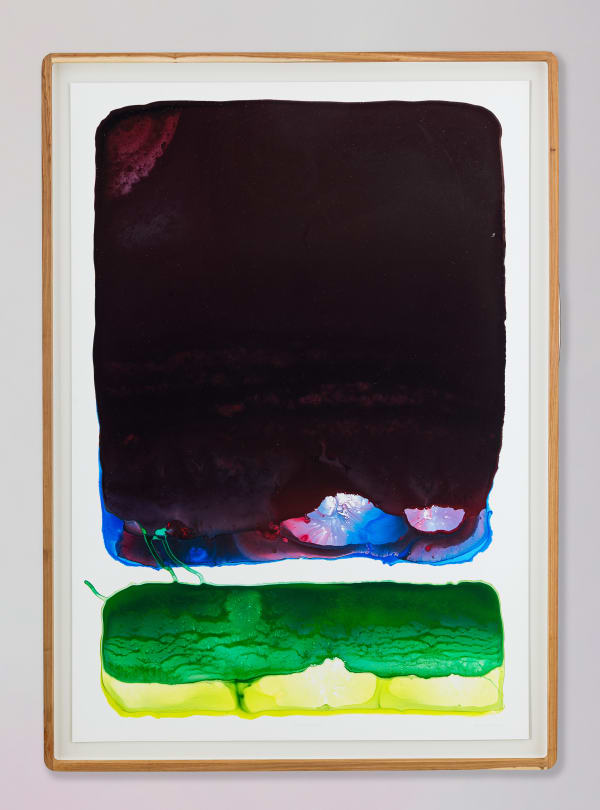 Pigment and Perception