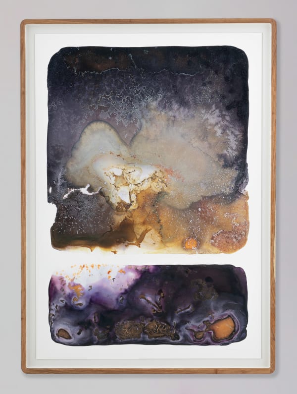 Mariëtte Kotzé, Midnight Bloom, 2024