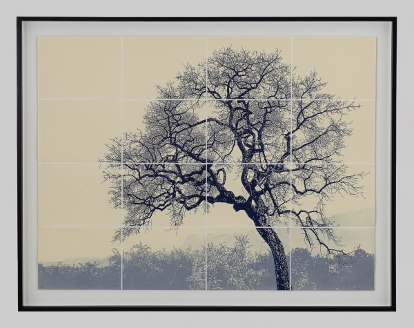 Simon Attwood, We Walk in the Clouds, 2024