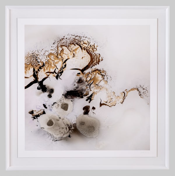 Mariëtte Kotzé, Where the windstorm swirls, 2023