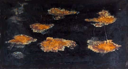 Barbara Schroeder, Stereum #1, 2019