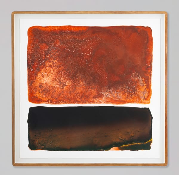 Mariëtte Kotzé, Terra Chroma, 2024