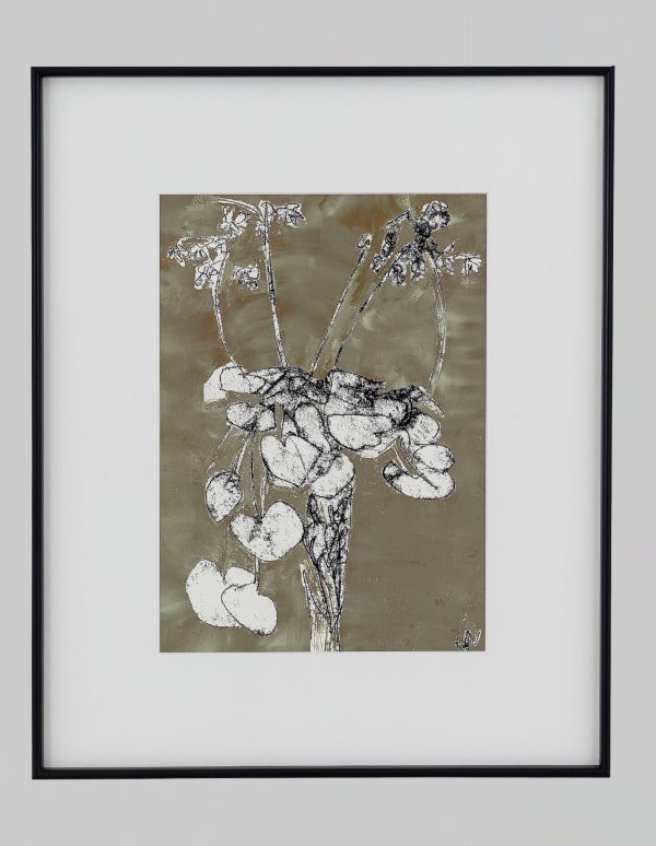 BOTANICAL STILL LIFE
