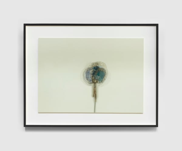 Tré Mkhabela, Found Object I, 2021