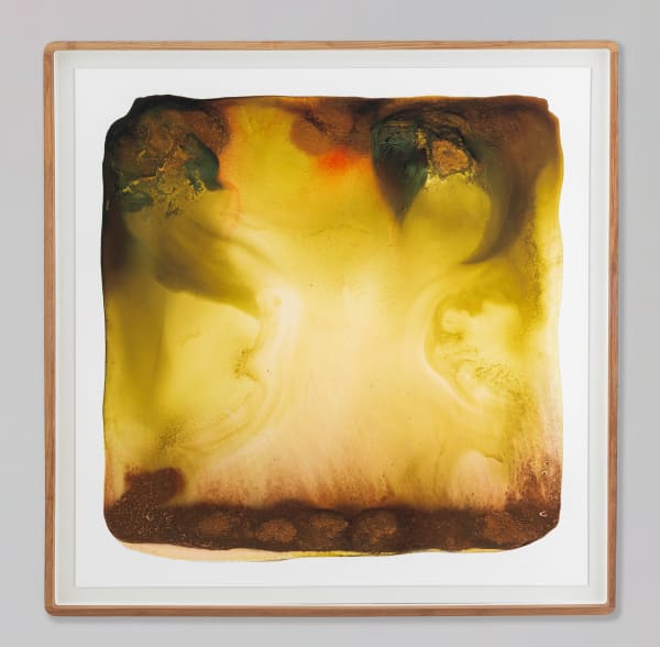 Mariëtte Kotzé, Misty Foliage, 2024