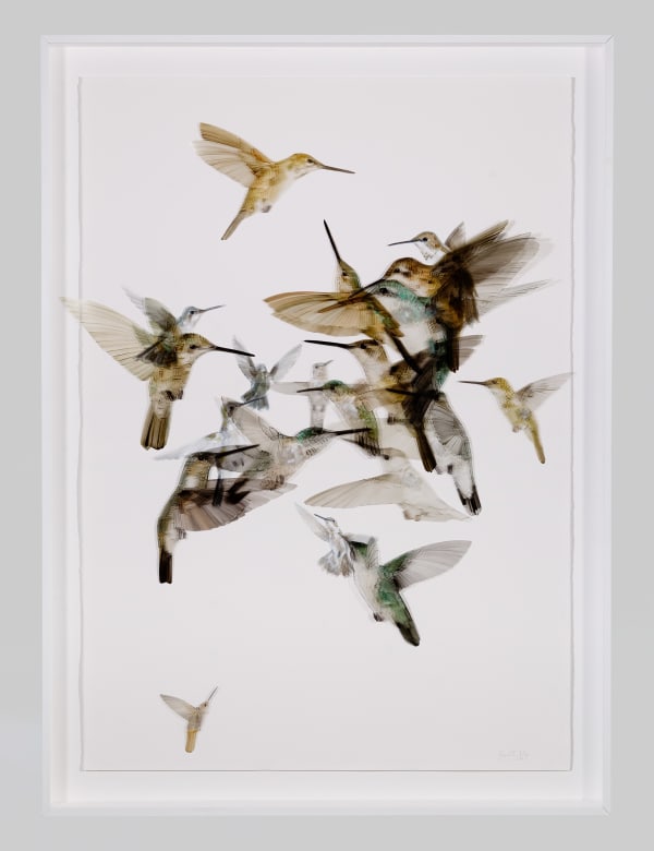 Ingrid Uys, Forever Fleeting, 2023