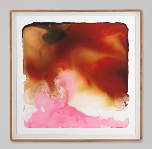 Mariëtte Kotzé, Nature’s Blush, 2024