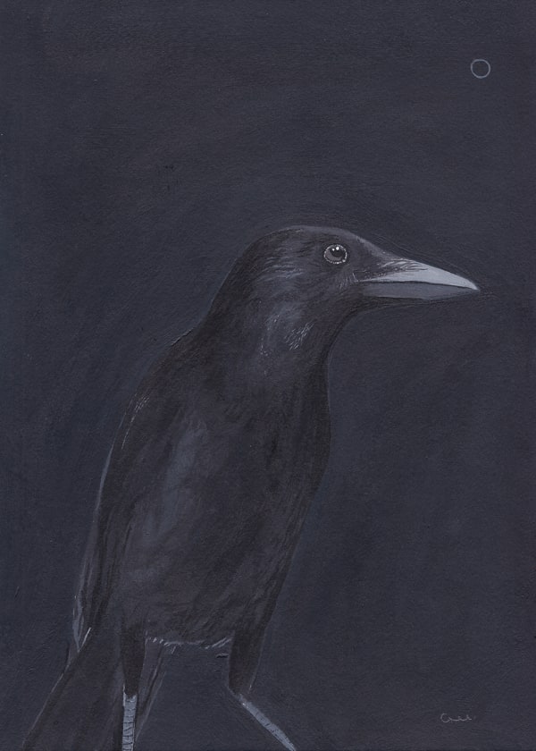 Christopher Gee, Crow at Night, 2019