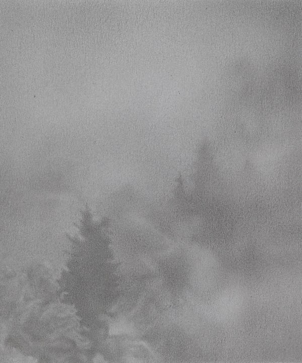 Adam Bainbridge, Drift, 2017