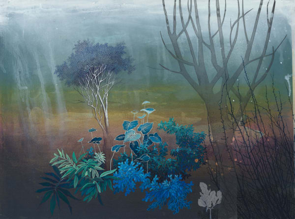 Chitra Merchant, DEVAKAD - Wild Nutmeg & Silver Birch (immune boosting trees), 2020