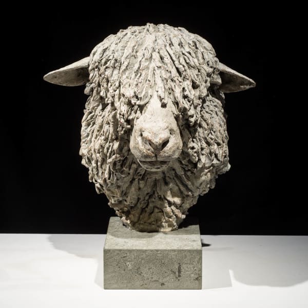 Hamish Mackie - Cotswold Ram Head, 2015