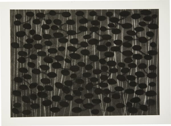 Hen Coleman, Blackout, 2017