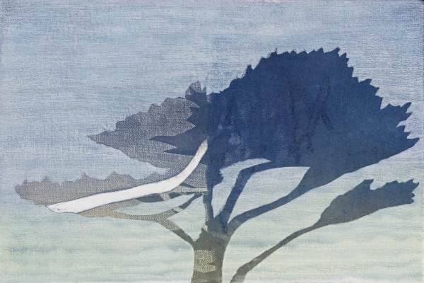 Kerry Harding, Cardinham 2, 2024