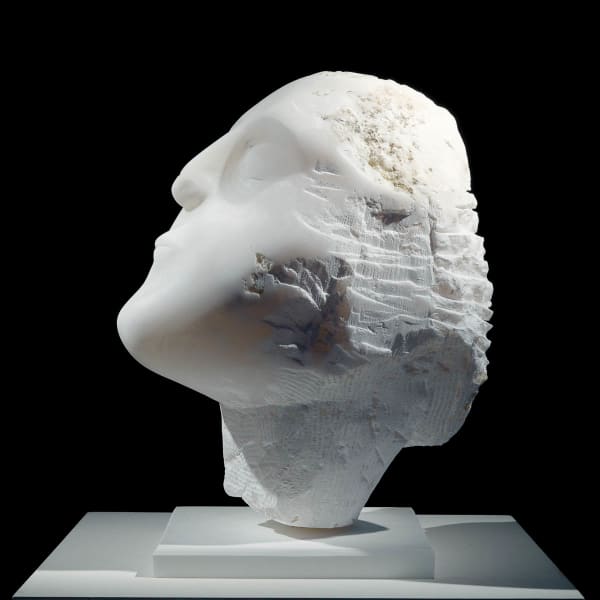 Kristina Hagstrom, White Essence, 2016