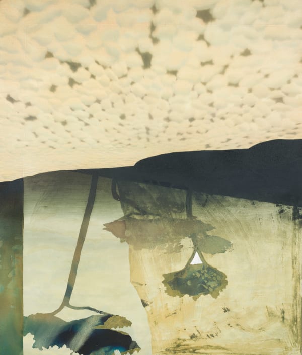 Kerry Harding, Pen Altocumulous i, 2024