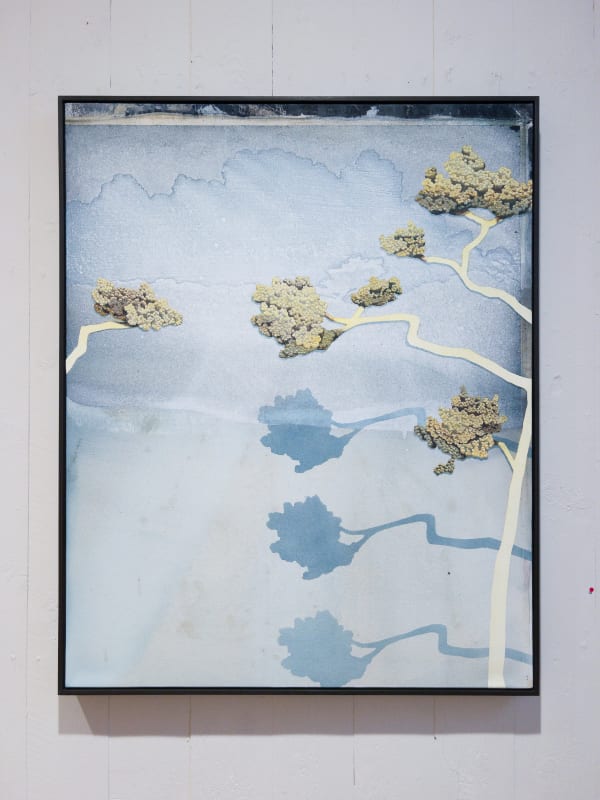 Kerry Harding, Fainter leaves to further seasons, 2024