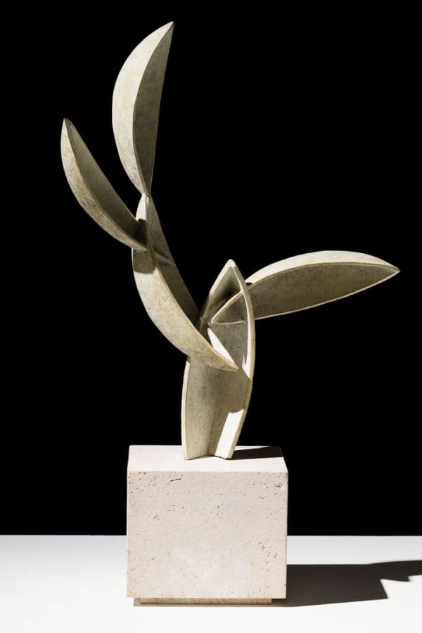 Almuth Tebbenhoff, Hampelmann 1, 2017