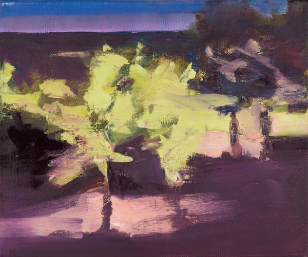 Pippa Blake, Night garden Sussex I, 2024