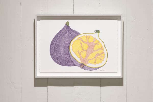 Irene Lees, The Fig Tree, 2019