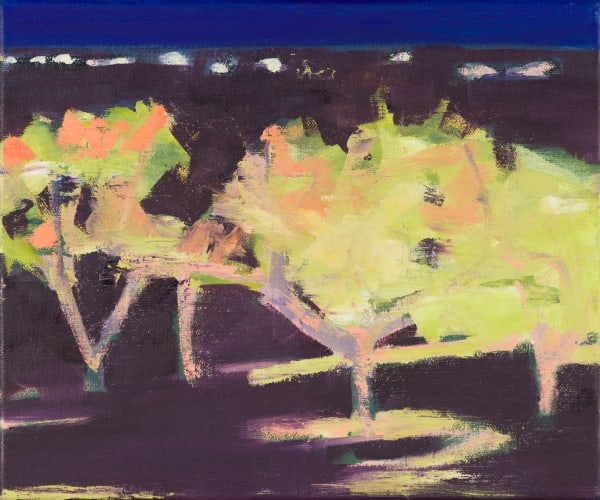 Pippa Blake, Night garden Sussex II, 2024