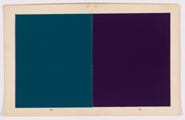 Nici Bungey - The water babies, 2024