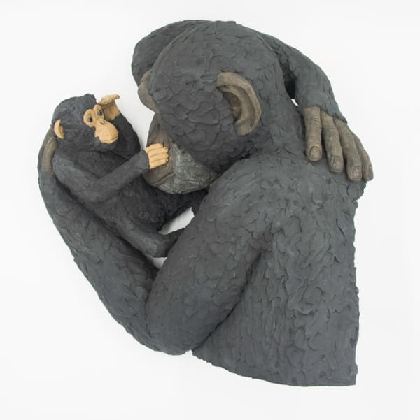 Matthew Edenbrow, New Arrival