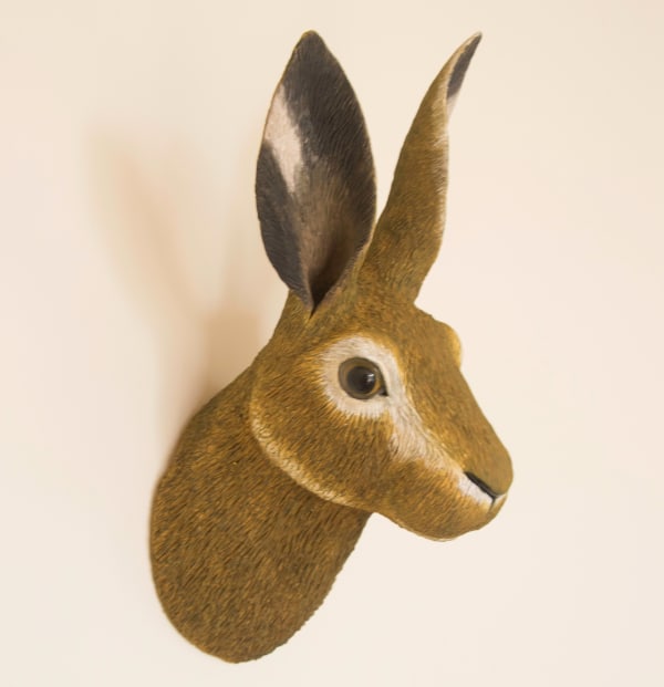 Matthew Edenbrow, Small Hare
